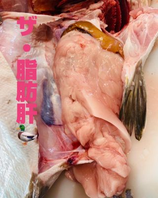 image4_6.jpeg